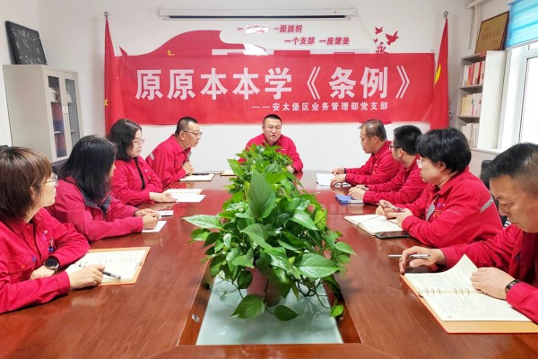 平朔集团基层党组织利用党员大会原原本本、逐章逐条学习《中国共产党纪律处分条例》.jpg